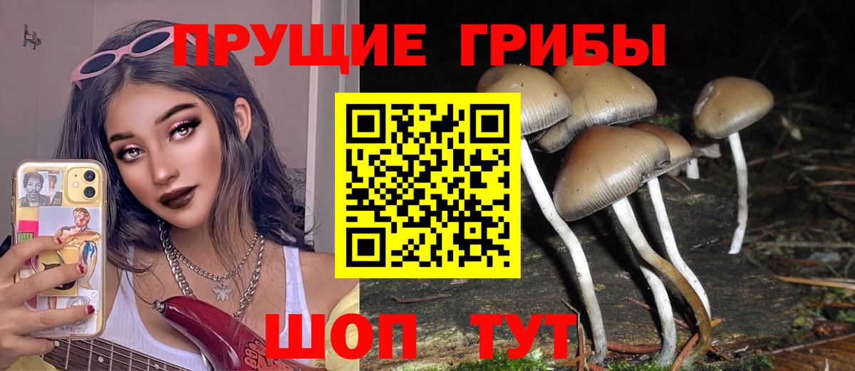 Десногорск  Псилоцибиновые грибы мицелий  Вход с VPN  Псилоцибиновые грибы Magic Shrooms 